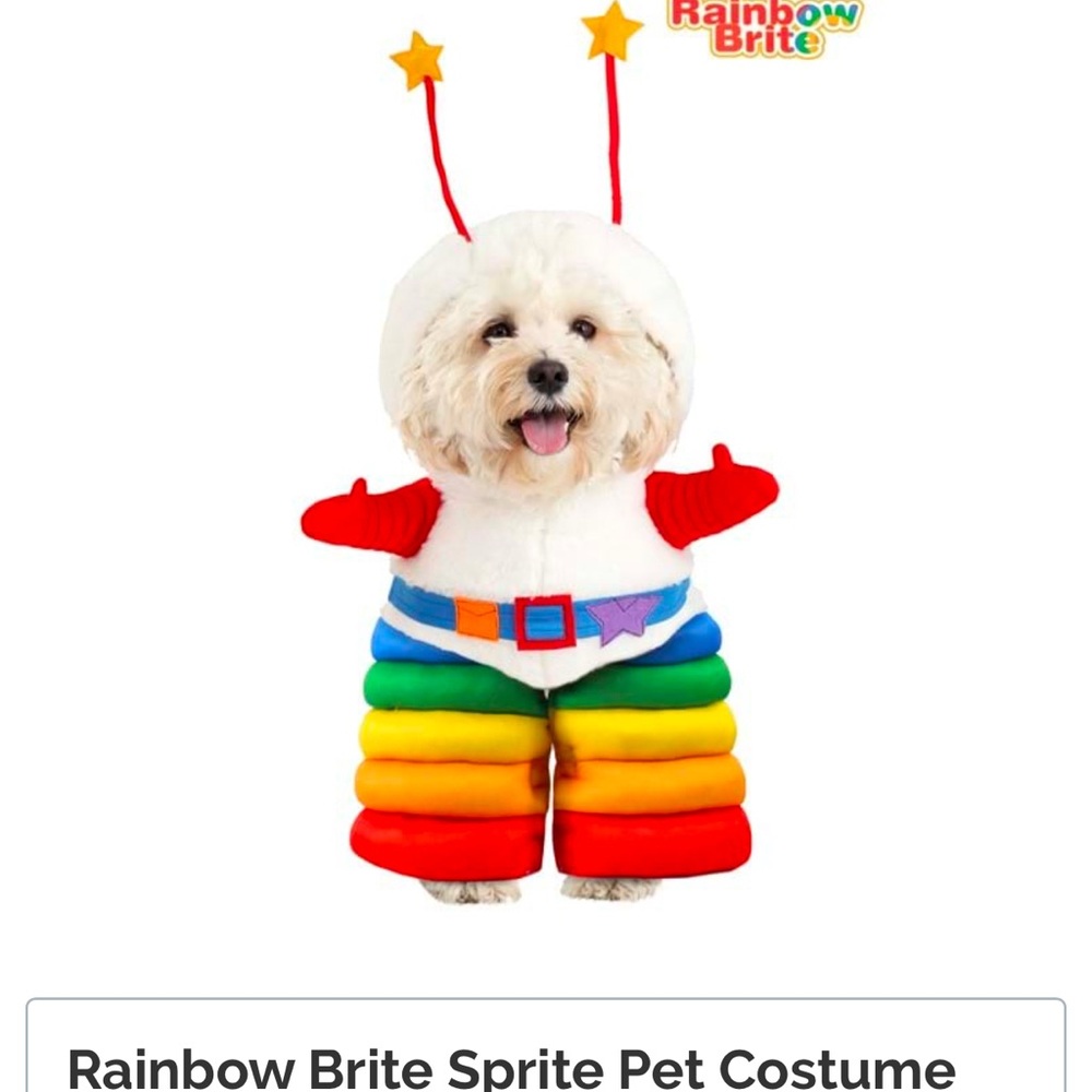Rainbow Brite Sprite Pet Costume